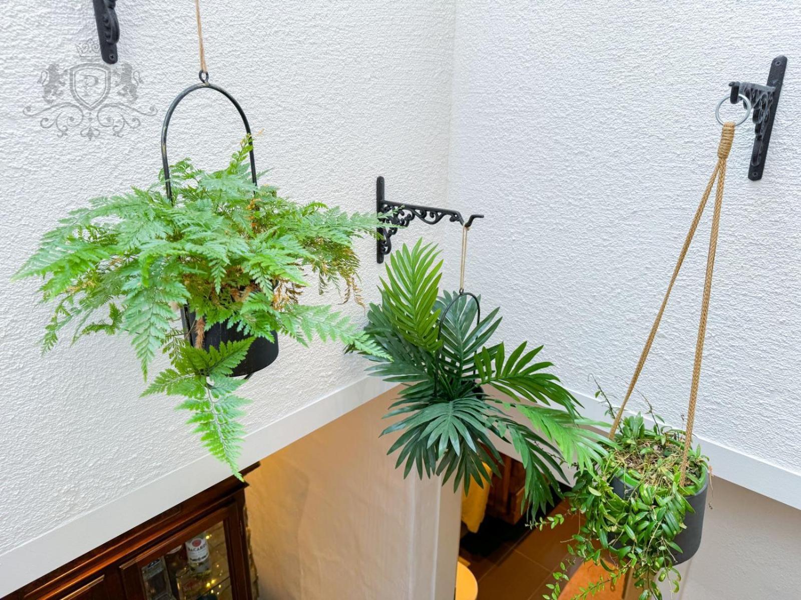 Feuerscheid Kleines Backhaus In Der Eifelヴィラ エクステリア 写真